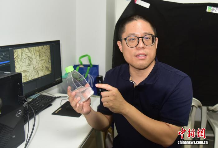 洞悉体育赛事格局 - 开云体育下载